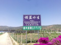 诺蓝水生植物基地展示